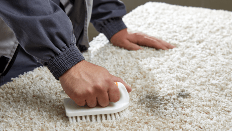 Professional Rug Cleaning Oak Park