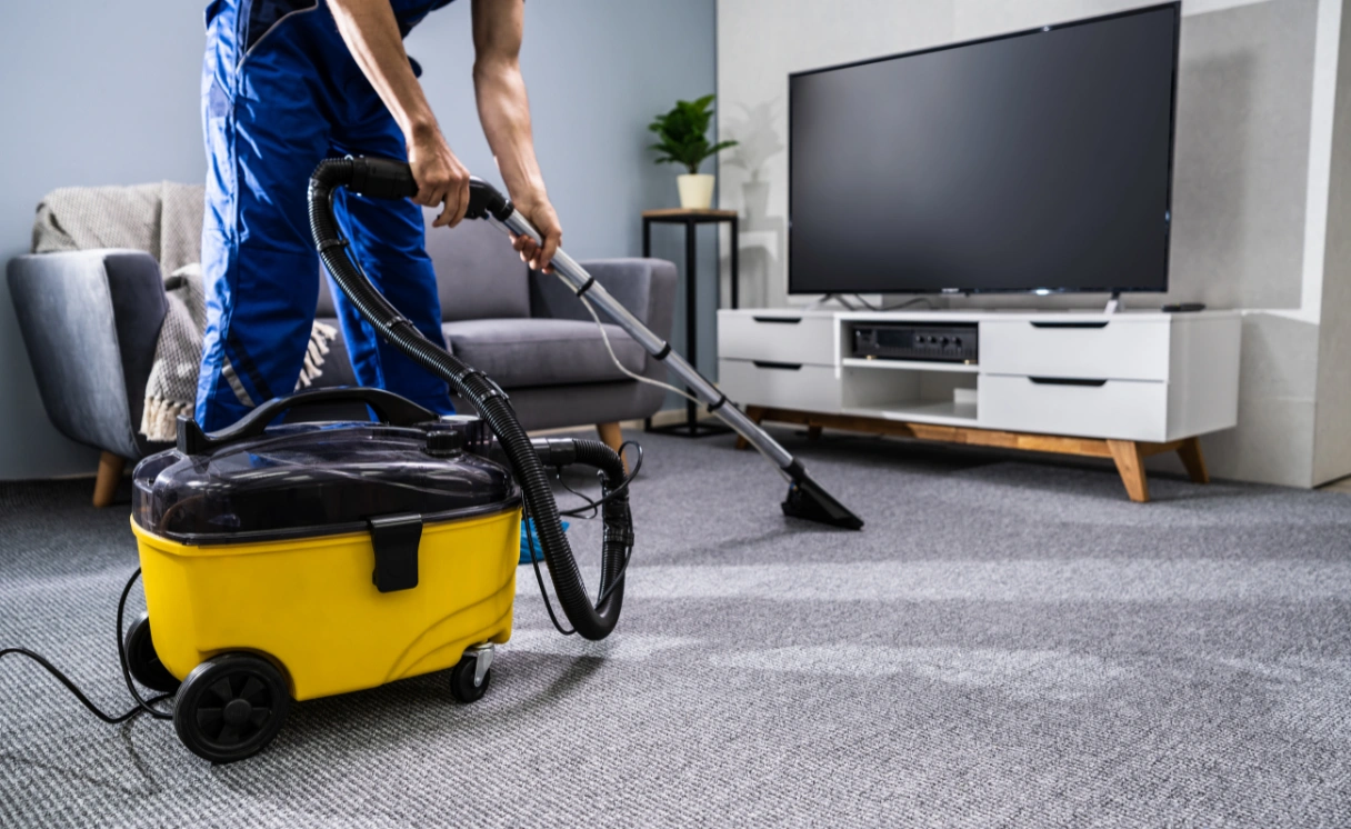 Extract Rug Cleaning Oak Park Contact Office
